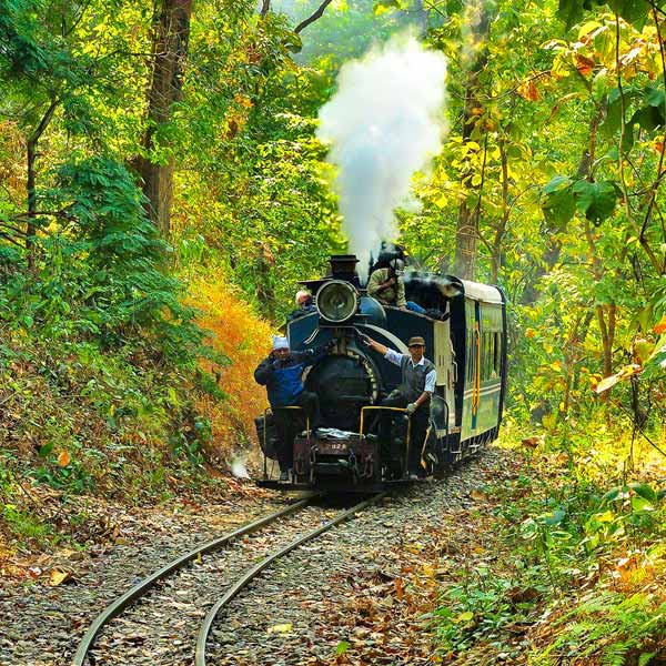 DARJEELING TOUR PACKAGES